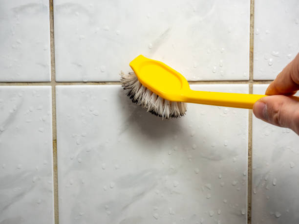 Best DIY Mold Remediation Support Services in Mcconnellstown, PA