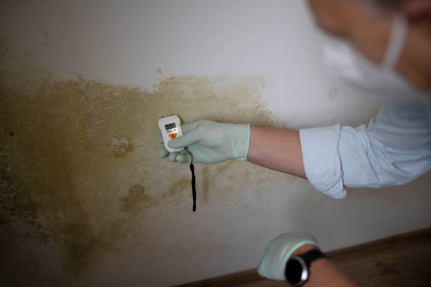 Best Mold Remediation for Specific Building Types in Mcconnellstown, PA